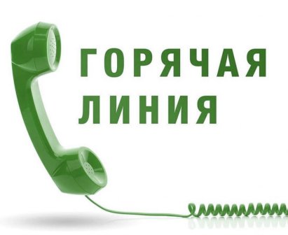 Телефон "Горячей линии по вопросам ЛДП"